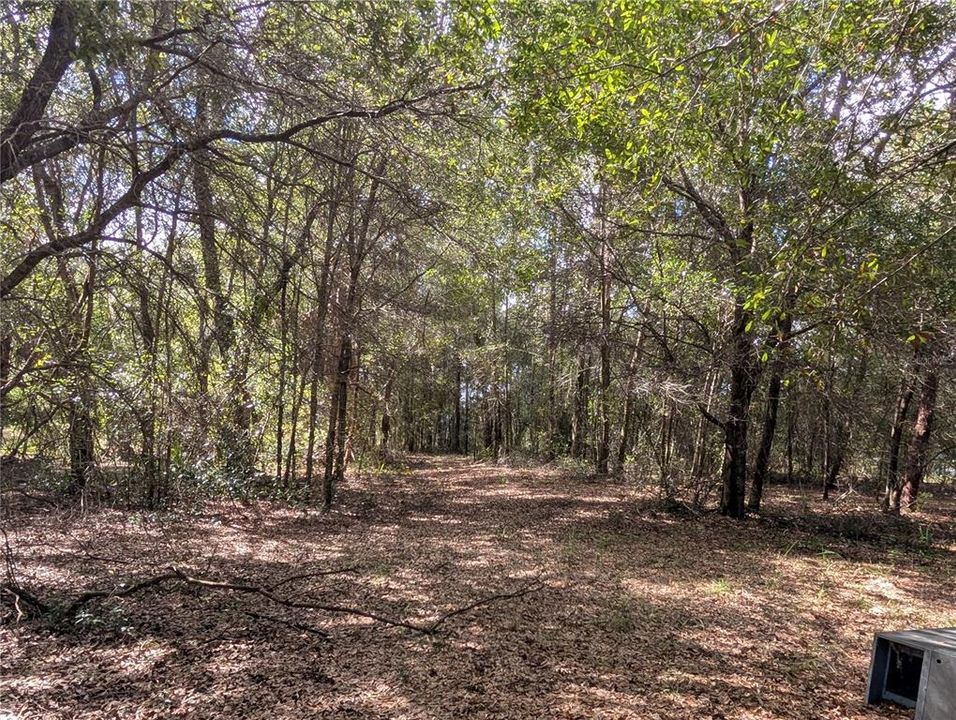 На продажу: $63,900 (2.70 acres)