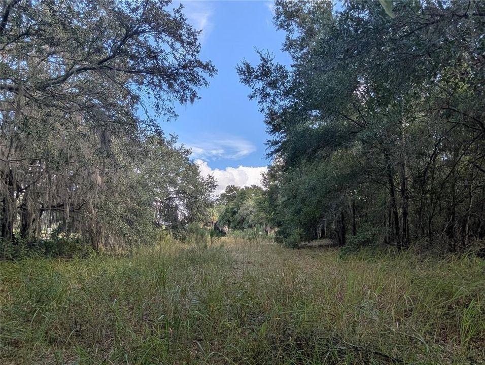 На продажу: $63,900 (2.70 acres)