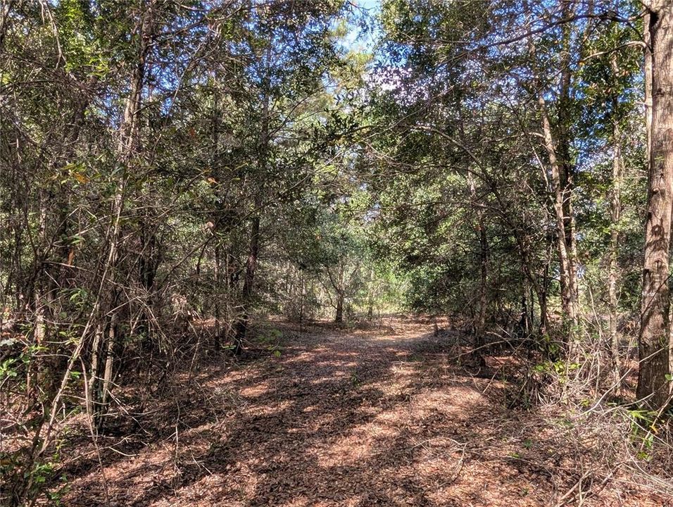 На продажу: $63,900 (2.70 acres)