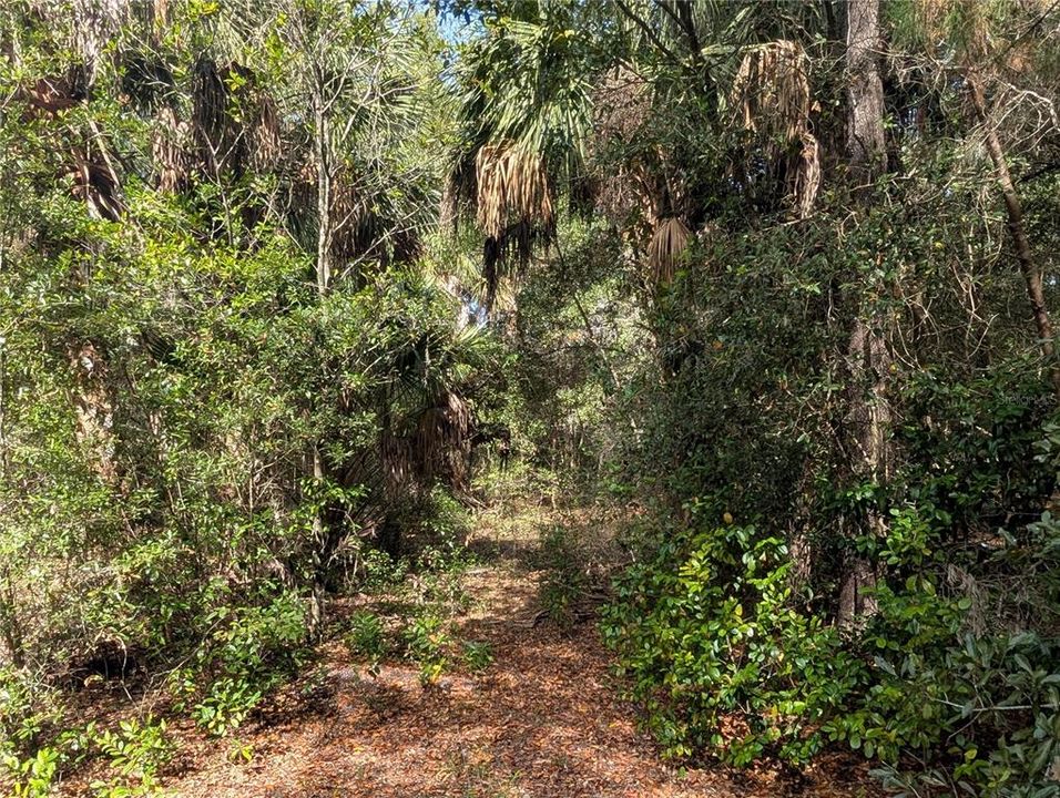 На продажу: $63,900 (2.70 acres)