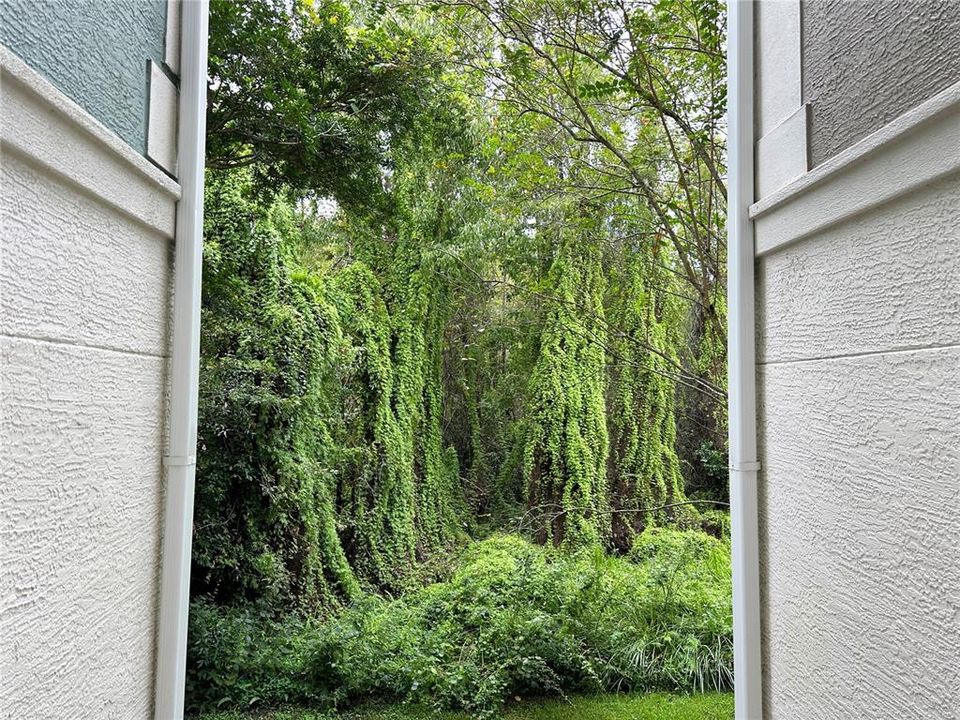 For Rent: $2,100 (3 beds, 2 baths, 1270 Square Feet)