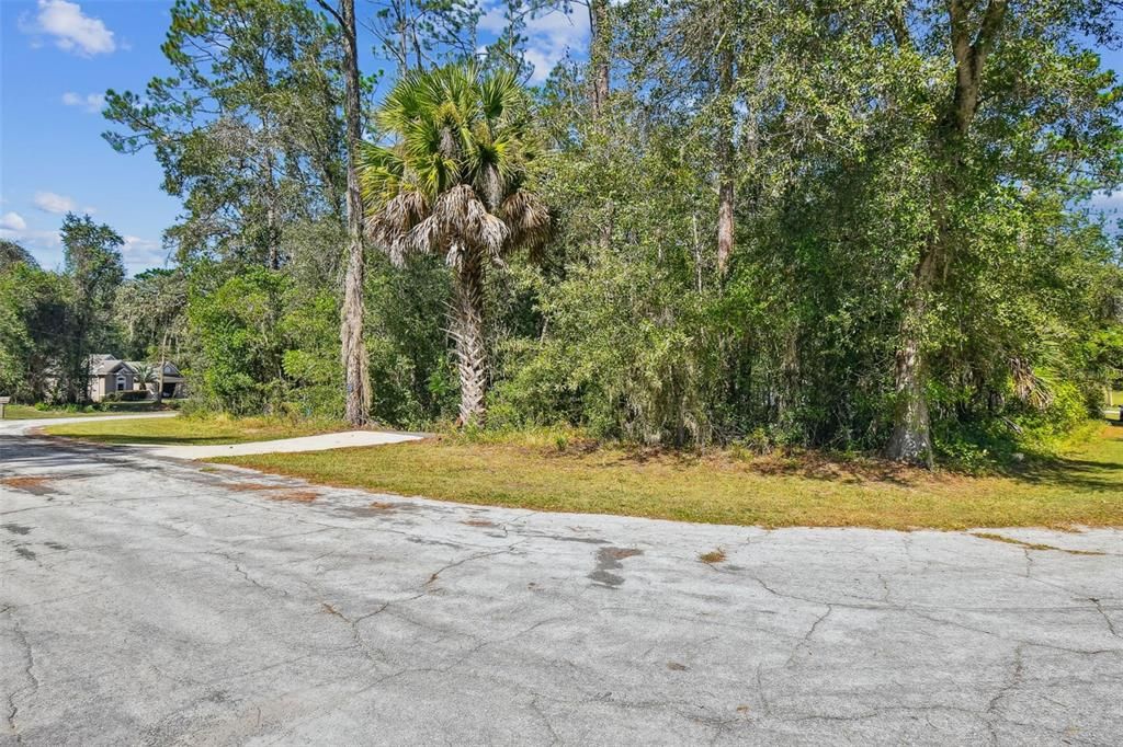 For Sale: $325,000 (3 beds, 2 baths, 1164 Square Feet)