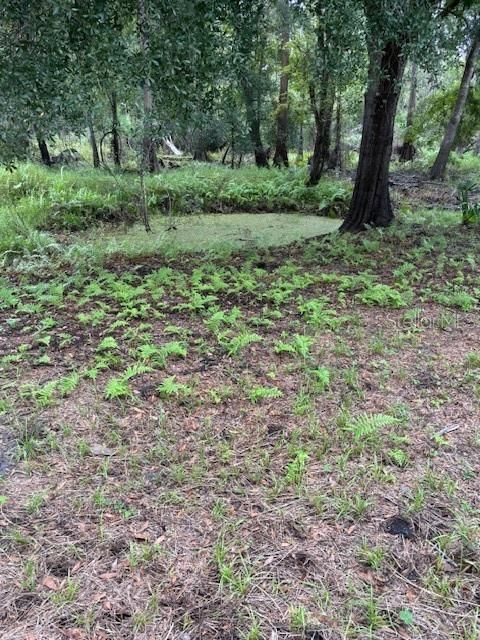 En Renta: $1,700 (3 camas, 2 baños, 800 Pies cuadrados)