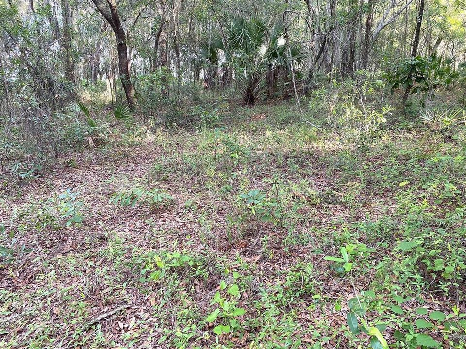 For Sale: $65,000 (0.64 acres)