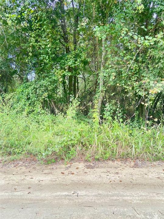 待售: $39,900 (0.70 acres)