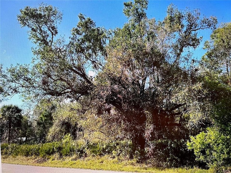 For Sale: $22,900 (0.23 acres)