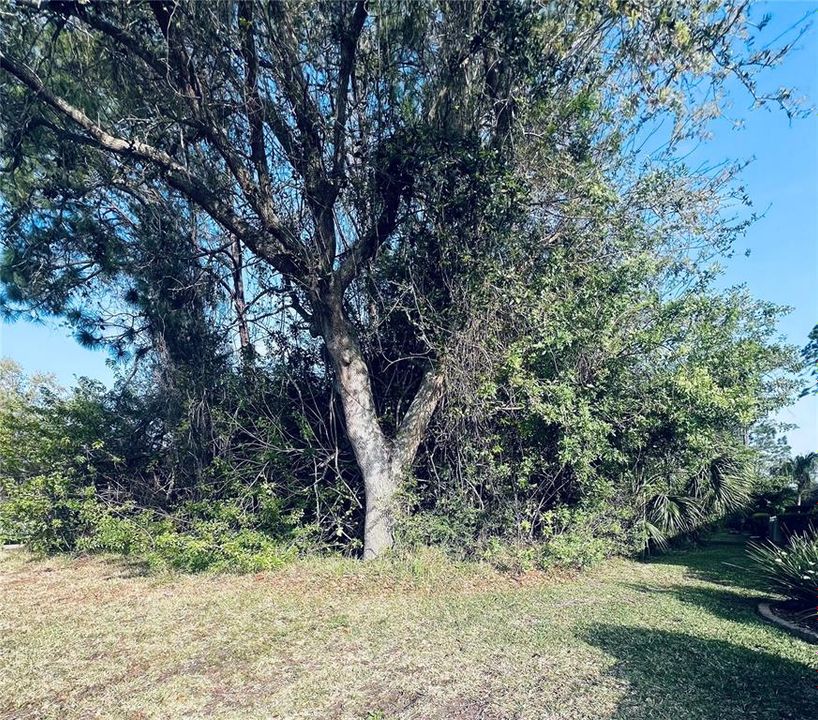 For Sale: $150,000 (0.28 acres)