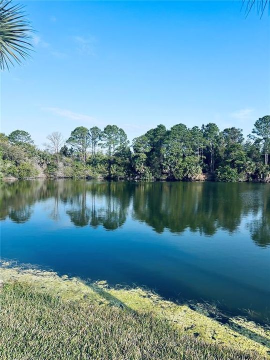 For Sale: $150,000 (0.28 acres)