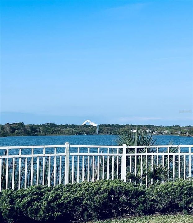 For Sale: $150,000 (0.28 acres)