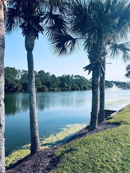 For Sale: $150,000 (0.28 acres)