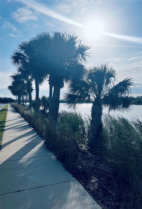 For Sale: $150,000 (0.28 acres)