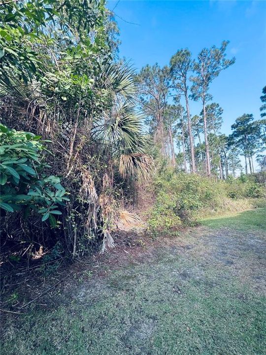 For Sale: $150,000 (0.28 acres)