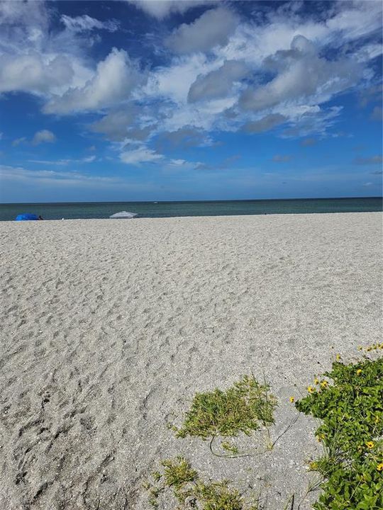 出租: $6,000 (2 贝兹, 2 浴室, 867 平方英尺)