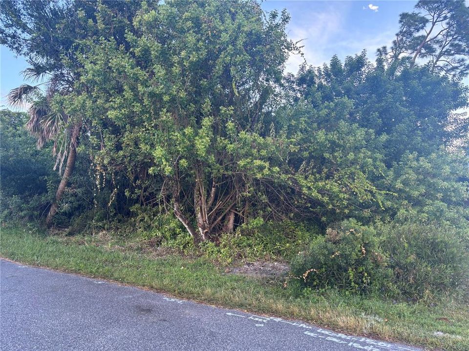 For Sale: $19,000 (0.23 acres)