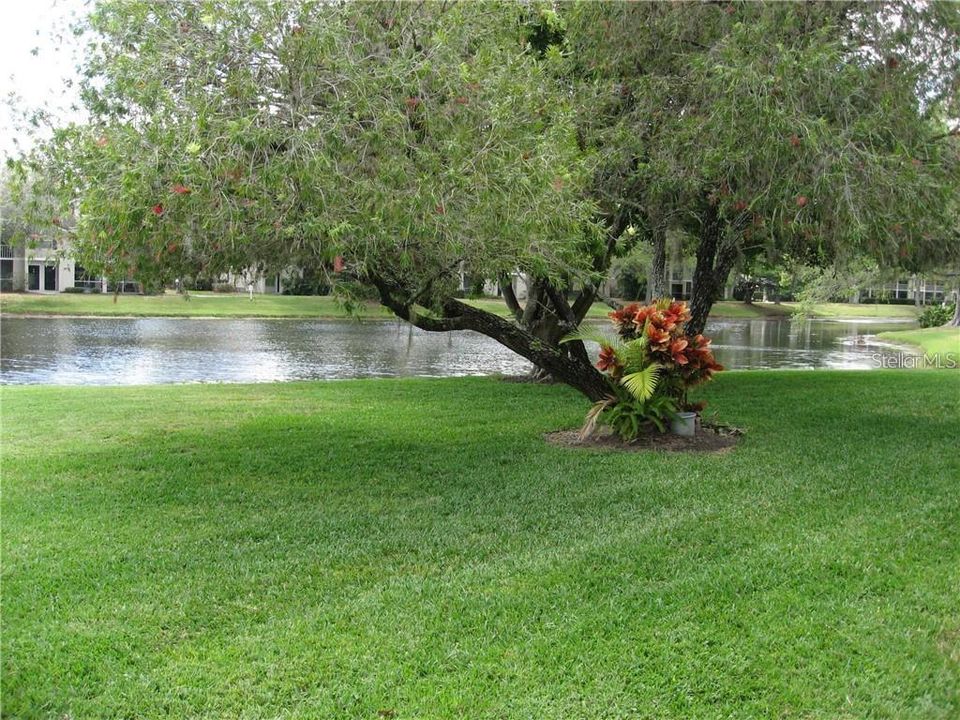 合同活跃: $1,700 (2 贝兹, 2 浴室, 1068 平方英尺)