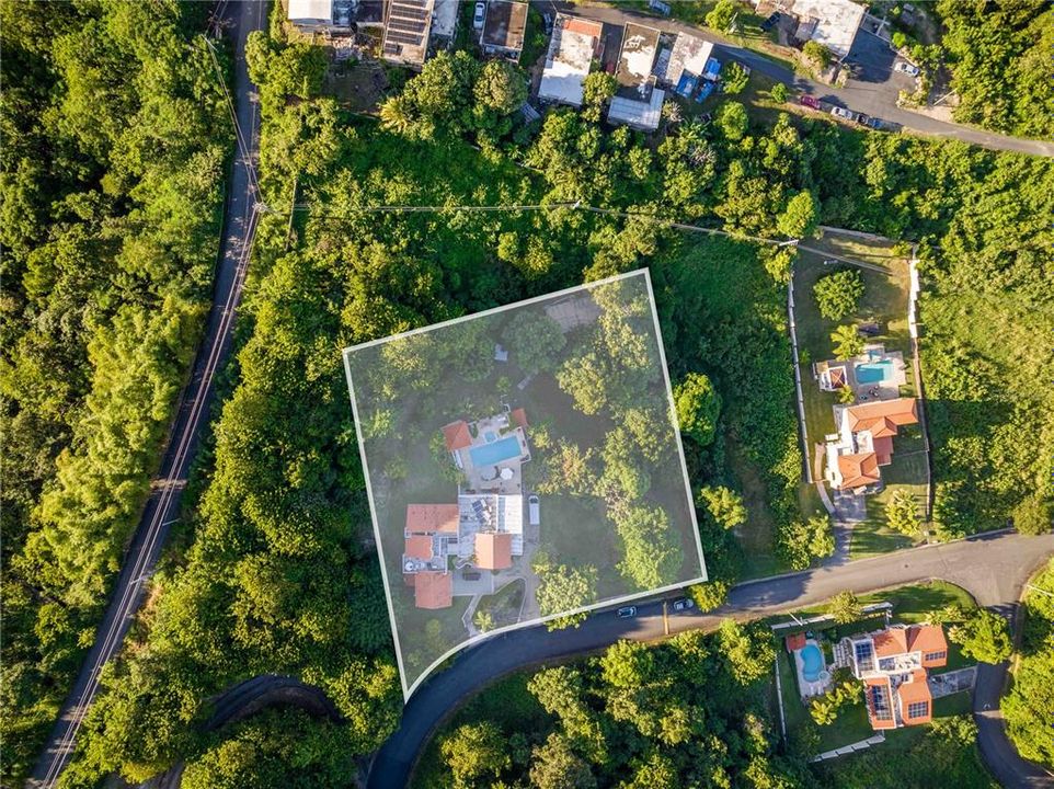 待售: $3,895,000 (5 贝兹, 4 浴室, 4500 平方英尺)