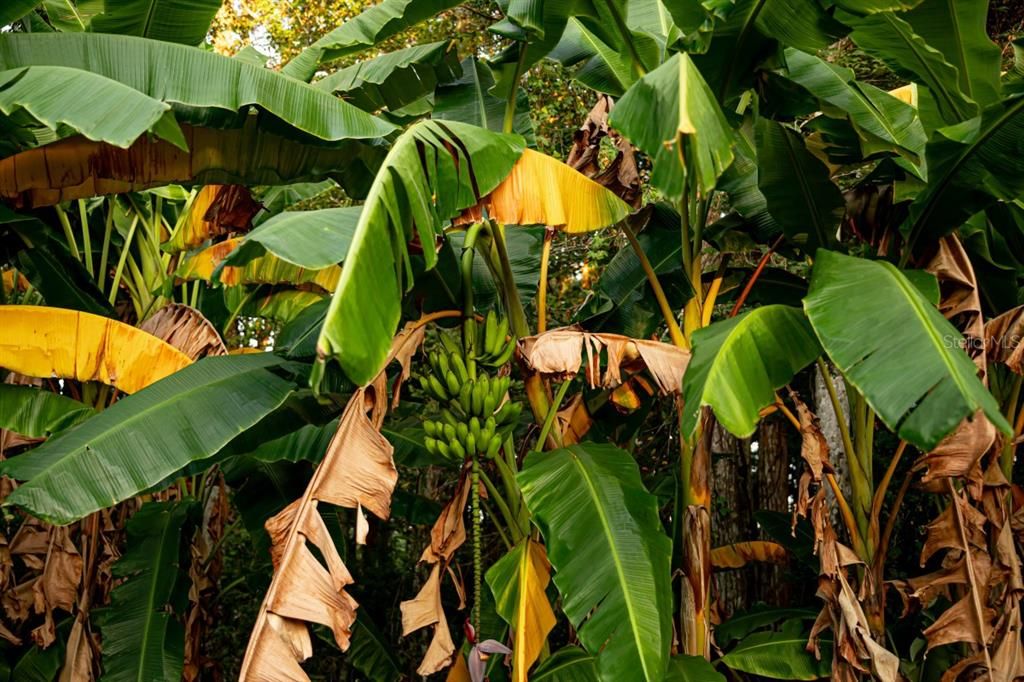 For Sale: $749,000 (3 beds, 2 baths, 1841 Square Feet)