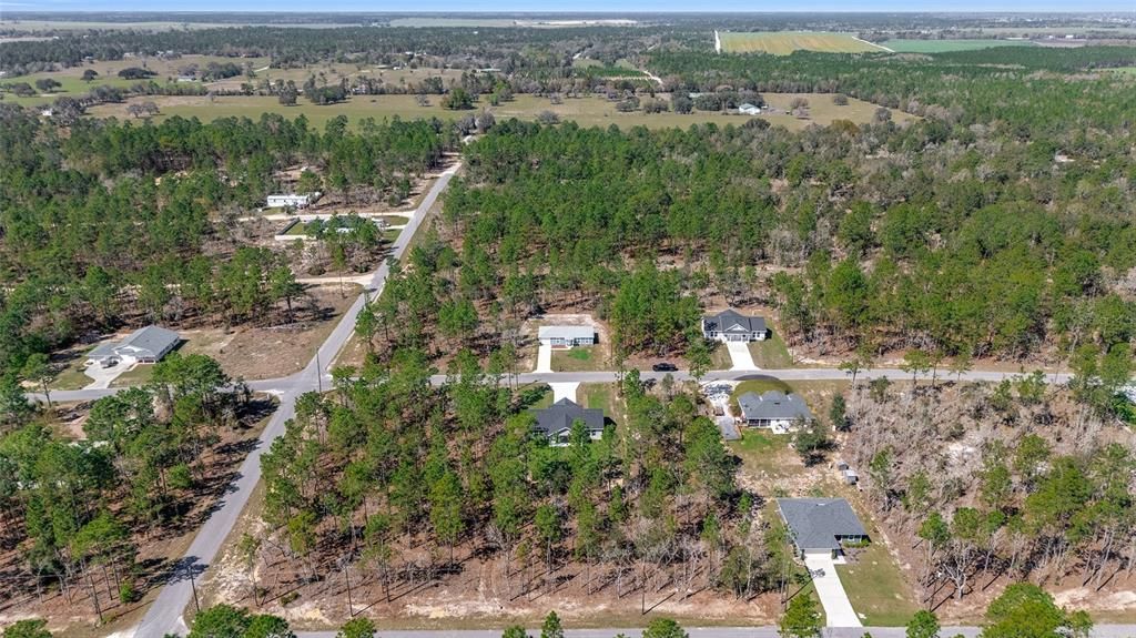 For Rent: $2,000 (3 beds, 2 baths, 1640 Square Feet)