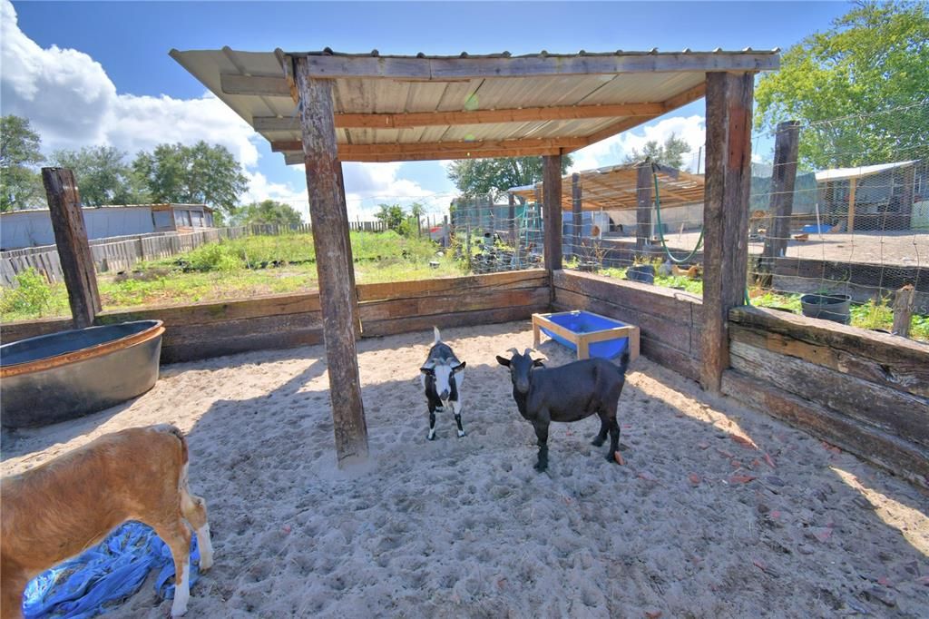 На продажу: $380,000 (4 спален, 2 ванн, 2432 Квадратных фут)