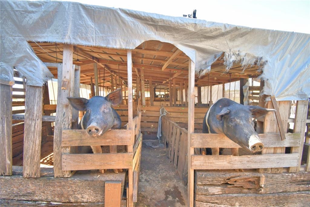 На продажу: $380,000 (4 спален, 2 ванн, 2432 Квадратных фут)