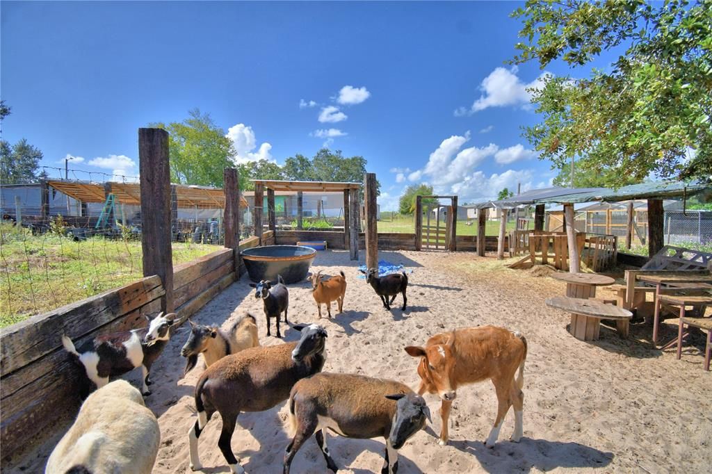 На продажу: $380,000 (4 спален, 2 ванн, 2432 Квадратных фут)