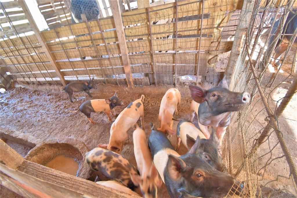 На продажу: $380,000 (4 спален, 2 ванн, 2432 Квадратных фут)