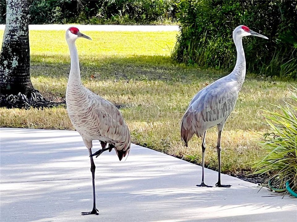 待售: $980,000 (4 贝兹, 3 浴室, 3473 平方英尺)