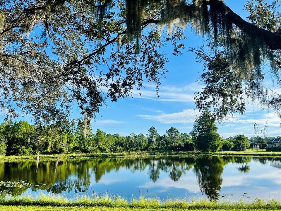 待售: $980,000 (4 贝兹, 3 浴室, 3473 平方英尺)