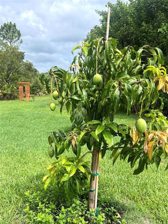 待售: $980,000 (4 贝兹, 3 浴室, 3473 平方英尺)