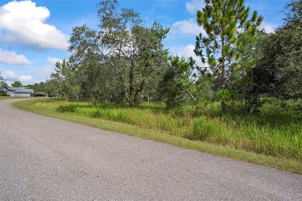 For Sale: $99,000 (1.52 acres)