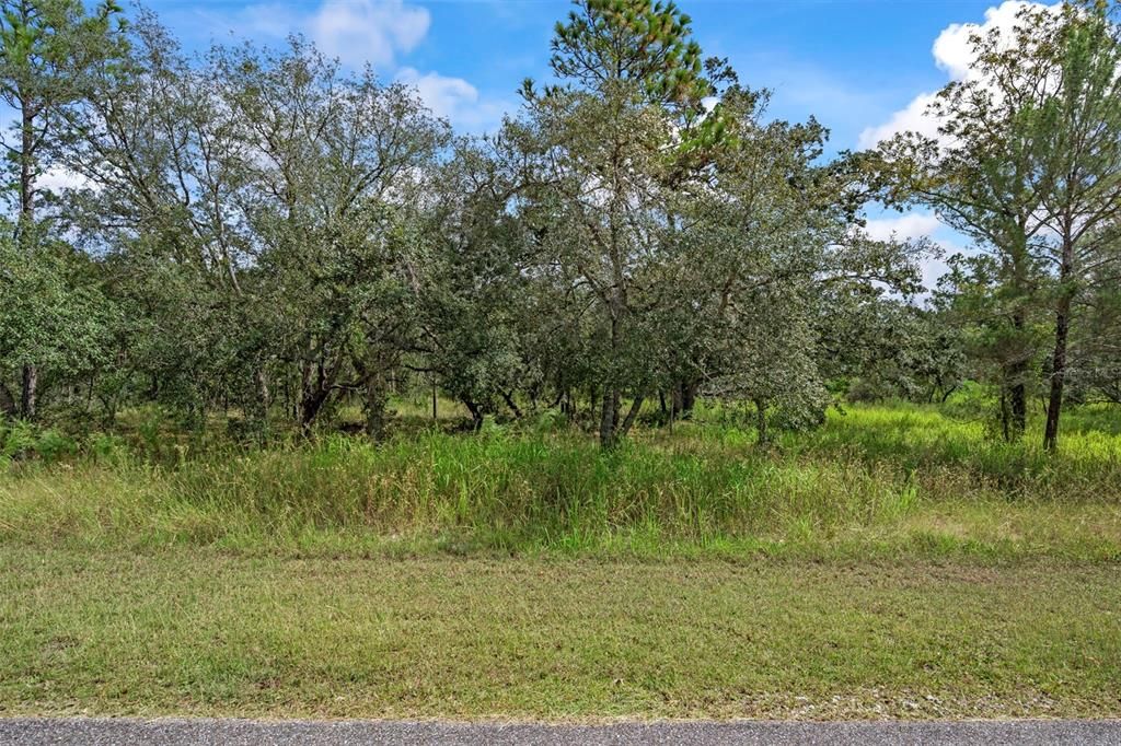 For Sale: $99,000 (1.52 acres)