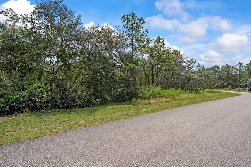 For Sale: $99,000 (1.52 acres)