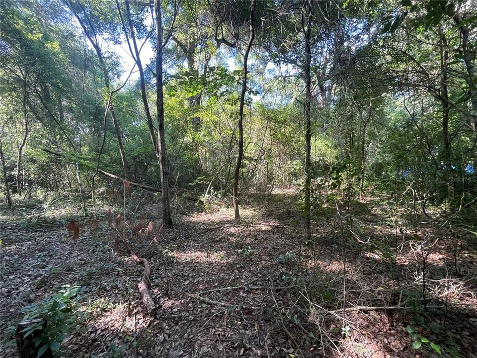 合同活跃: $69,900 (1.91 acres)