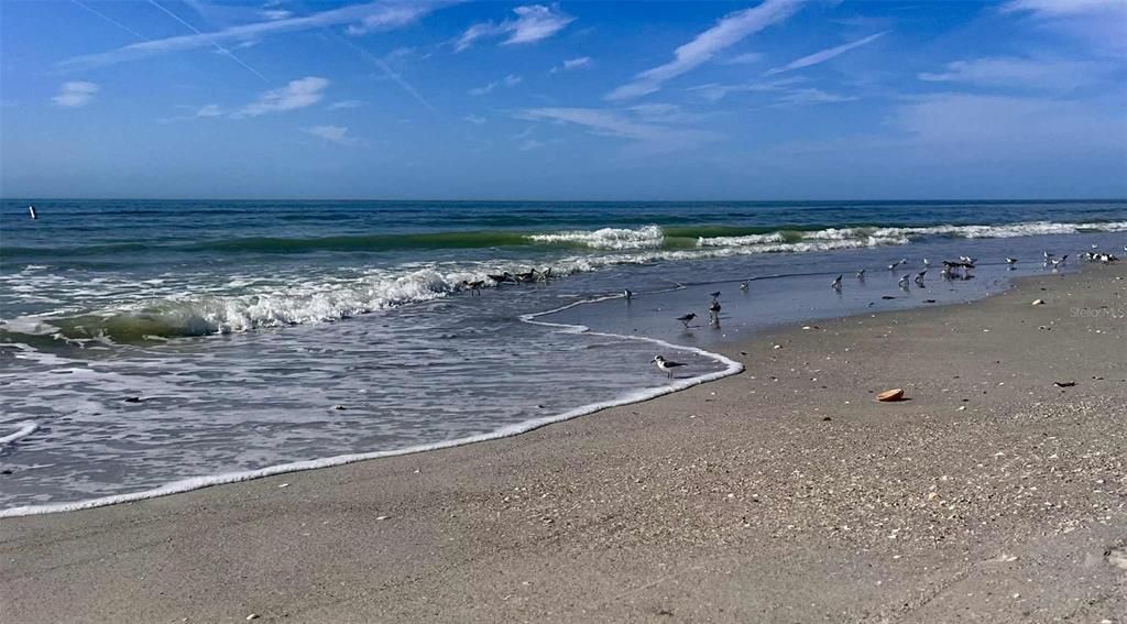 На продажу: $925,000 (3 спален, 3 ванн, 1618 Квадратных фут)