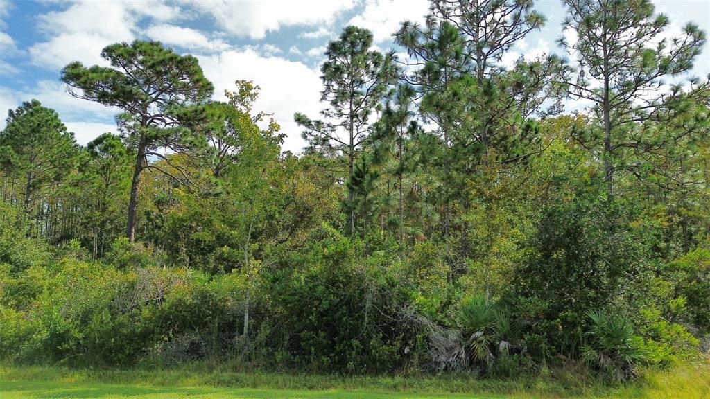 En Venta: $120,000 (1.03 acres)