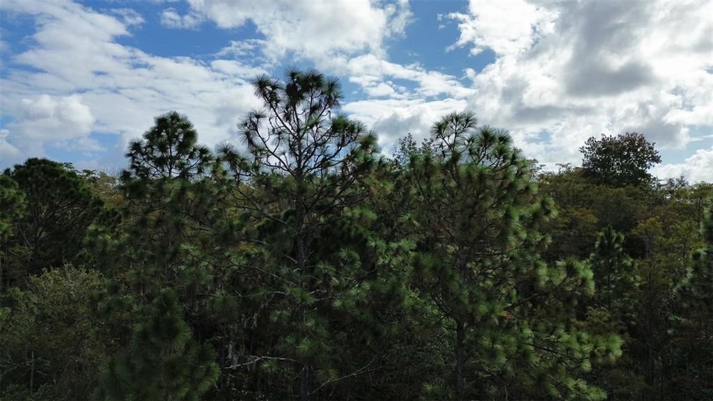 En Venta: $120,000 (1.03 acres)