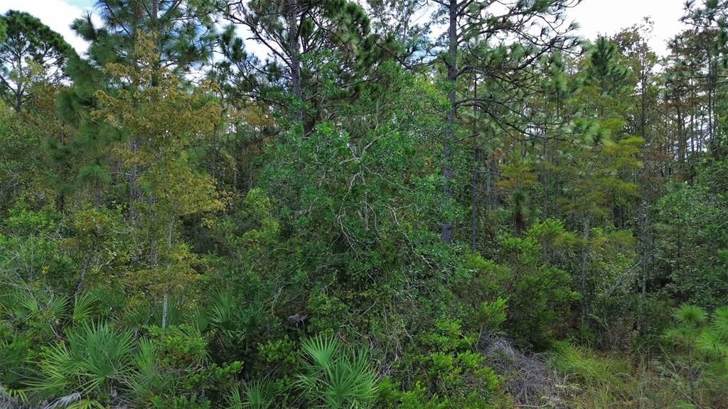 En Venta: $120,000 (1.03 acres)