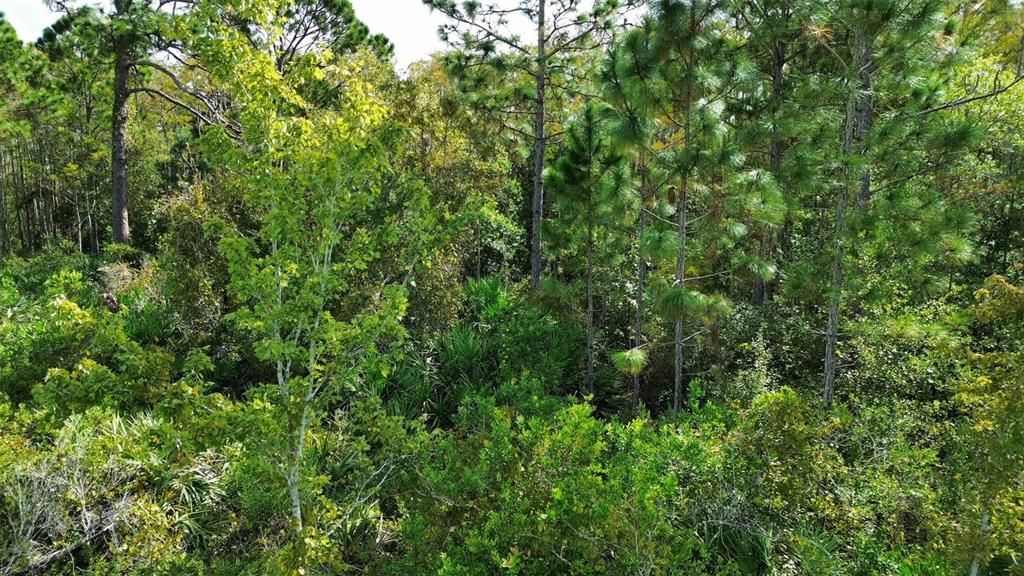 En Venta: $120,000 (1.03 acres)