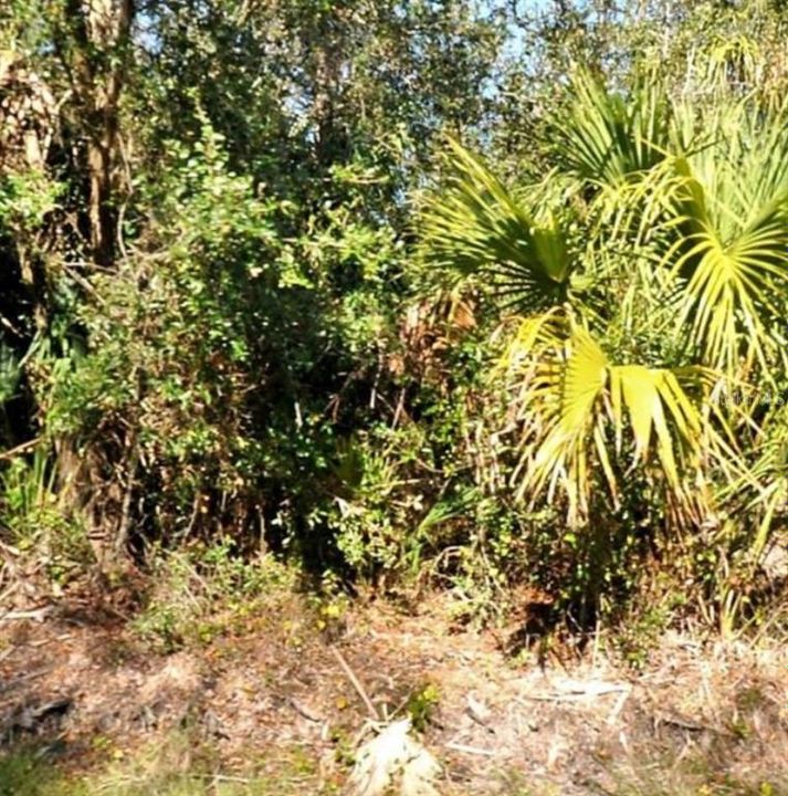 На продажу: $25,500 (0.29 acres)