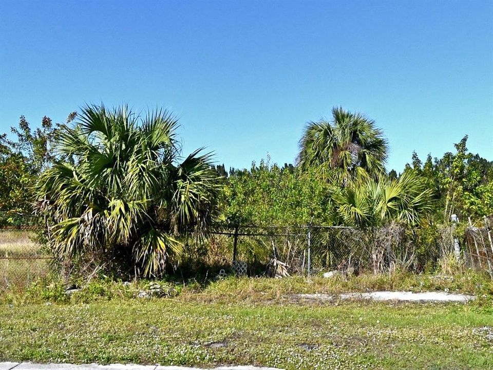 En Venta: $3,100,000 (9.50 acres)