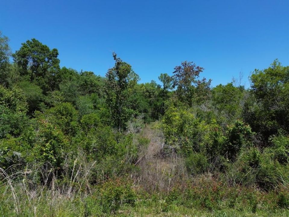 For Sale: $29,500 (1.16 acres)