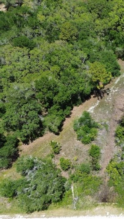 For Sale: $29,500 (1.16 acres)