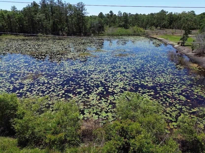 For Sale: $29,500 (1.16 acres)