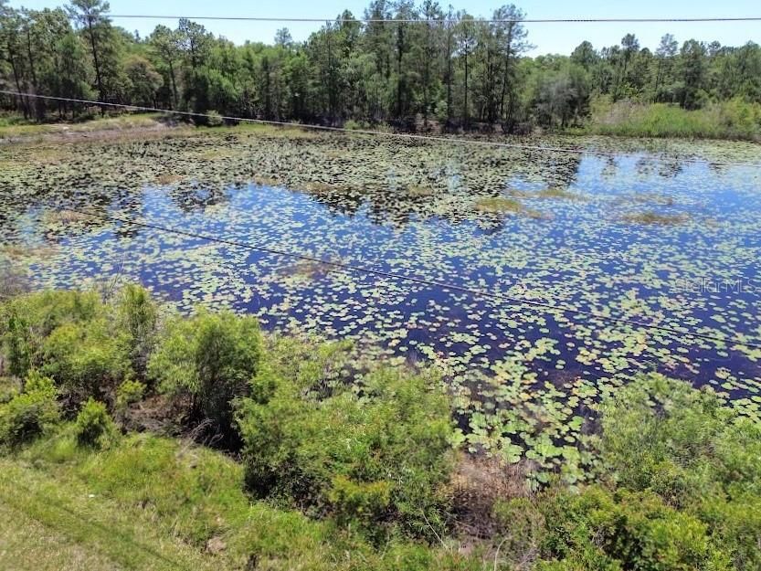 For Sale: $29,500 (1.16 acres)