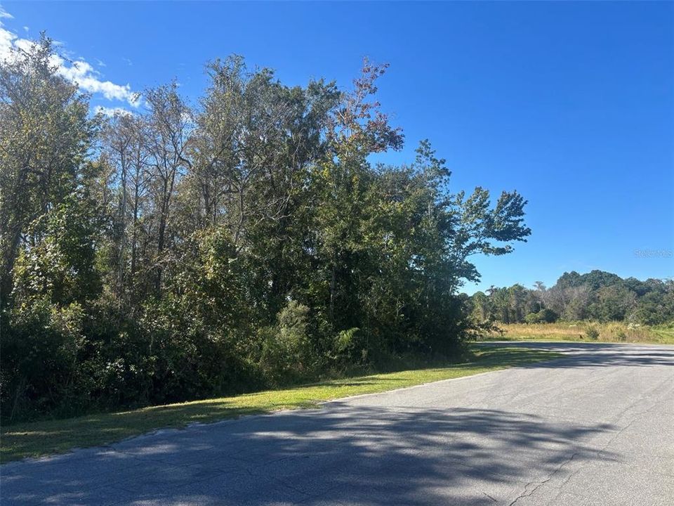 待售: $160,000 (1.99 acres)