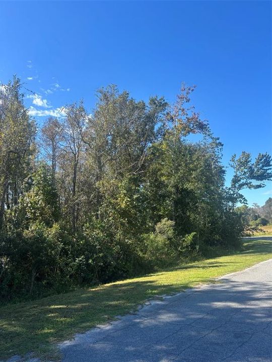 待售: $160,000 (1.99 acres)