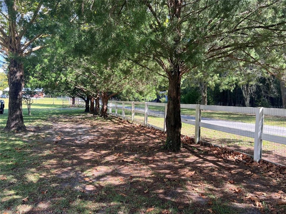 For Sale: $239,000 (3 beds, 2 baths, 1402 Square Feet)