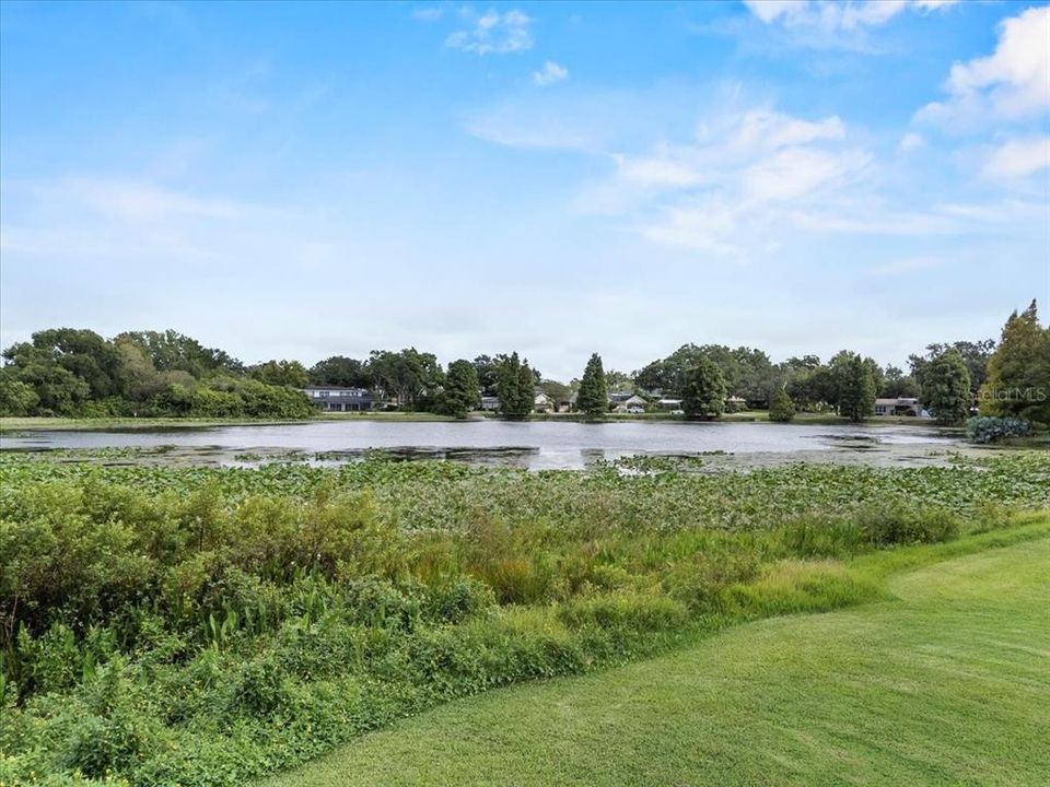 合同活跃: $375,000 (2 贝兹, 2 浴室, 1254 平方英尺)