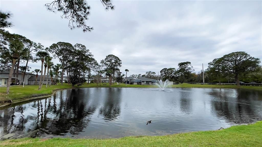 Activo con contrato: $568,500 (6 camas, 0 baños, 2906 Pies cuadrados)