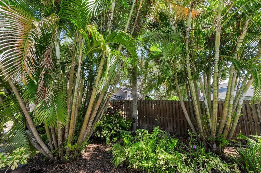 На продажу: $649,000 (3 спален, 2 ванн, 2063 Квадратных фут)